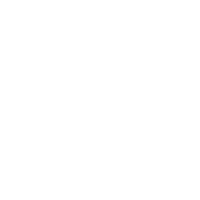 3 (5)